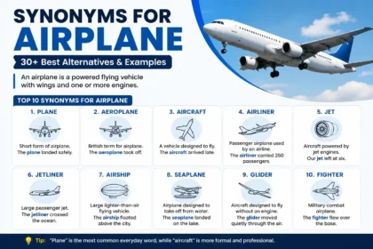 Synonyms for Airplane