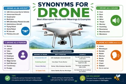 Synonyms for Drone