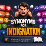 Synonyms for Indignation